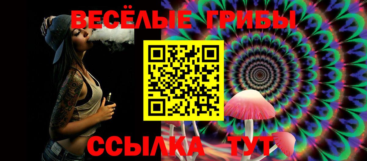 Волхов  Псилоцибиновые грибы Magic Shrooms  купить  цена  Вход с VPN 