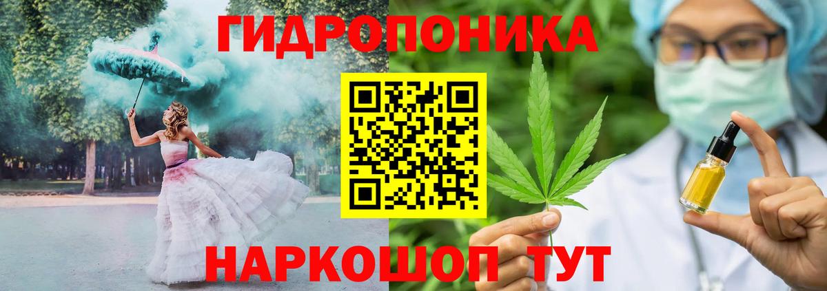 Канабис план  Бошки Шишки ГИДРОПОН  Волхов  Вход с VPN 